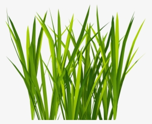 3d Gameready Textures - Grass Png