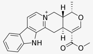 3 Chloro 4 Methylphenol