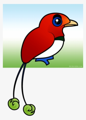 More Products - King Bird Of Paradise Birdorable