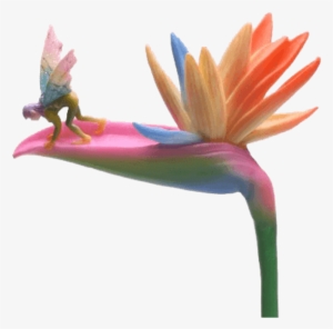 Bird Of Paradise Stem Flitty Fairy Flower - Stem Flitty - Bird Of Paradise By Sheila Wolk