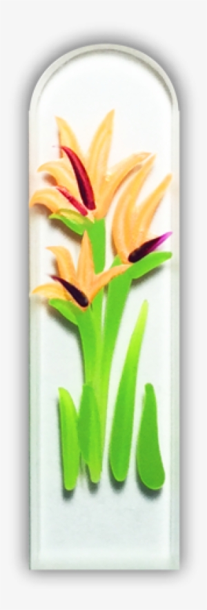 102500 Bird Of Paradise - Bird-of-paradise