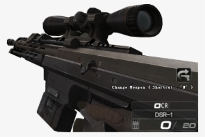 Dsr Png