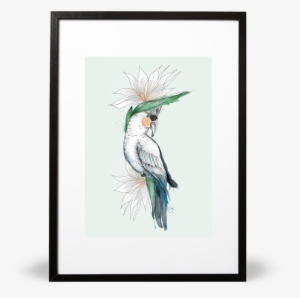 Bird Of Paradise Illustrative Print - Bird-of-paradise