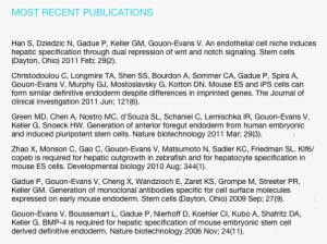 Brief Technical Writing Sample