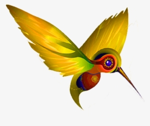 Yellow Humming Bird - Hummingbird