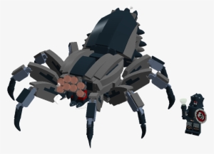 The Spider Steed Of The Necromancer - Insect