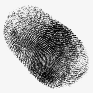 Thumbprint-2 - Portable Network Graphics