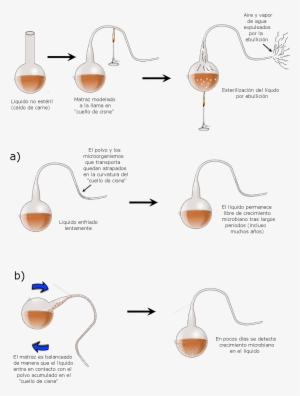 File - Matraces-pasteur - Design Of Experiments