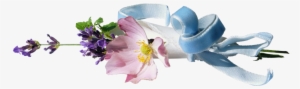 Separadores Png - Flower