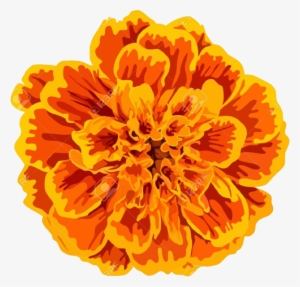 Screen Shot 2016 10 21 At 13 04 - Flor De Cempasúchil Dibujo