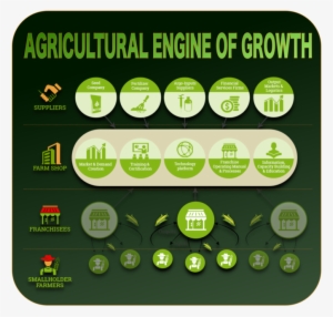 Iu - Palestine