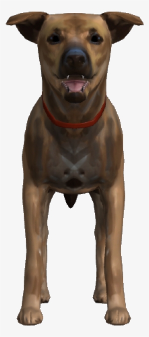 Download Zip Archive - Life Is Strange Pompidou Concept