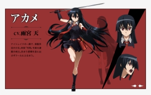 Character Akame - Akame Ga Kill Characters Names