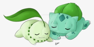 Chikorita
