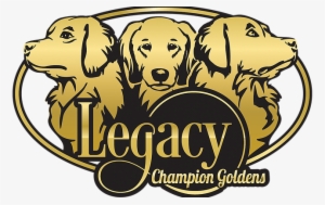 Skittle's Chasen The Rainbow - Dog Catches Something