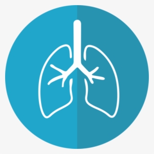 Although Most People Have Experienced Coughing Or Inflamed - Lung Cancer Awareness Month