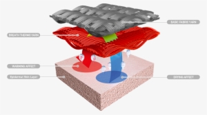 3 Features Of Breath Thermo - Mizuno Breath Thermo Beanies