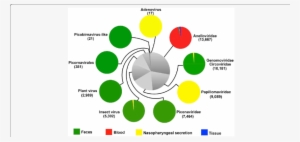 The Composition And Sample Distribution Of Eukaryotic - Nasopharyngeal Microbiome