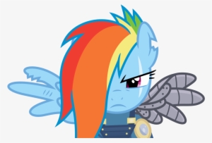 Mlp Rainbow Dash War