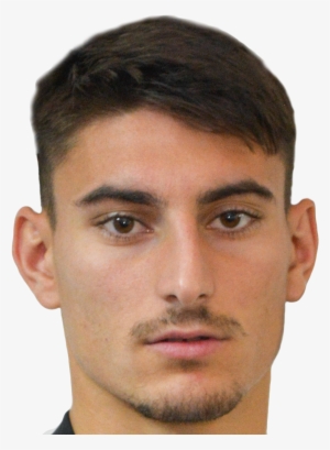 Cristea Lucian Iulian - Gradinaru Razvan