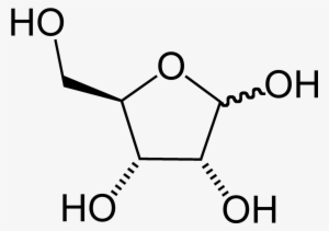 L Galactono 1 4 Lactone
