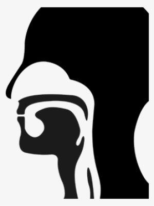 Face Infographics - Ear Nose And Throat Vector