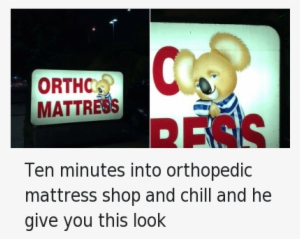 Chill, Netflix And Chill, And Shopping - Ortho Mattress