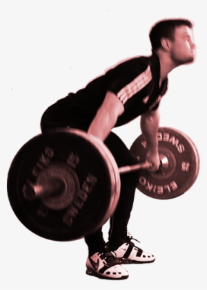 Home - Powerlifting