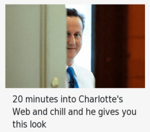 Chill, Netflix And Chill, And Charlotte