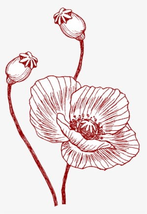 Poppy Banner Single - Poppy