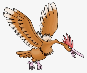 ¿moda Del Pelo Pidgeotto - Pokemon Fearow