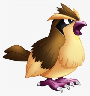 You - Pidgey Pokemon Png
