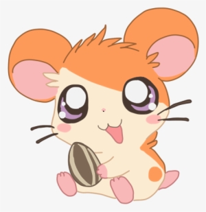 Buscar Con Google - Cute Cartoon Guinea Pig