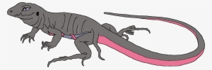 Salazzle - Portable Network Graphics