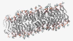 Brock Institute For Scientific Computing - Science