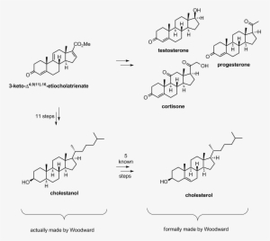 1 - Cortisone Testosterone