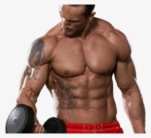 Learn How To Build Muscle And Lose Weight At Legal - Muscle