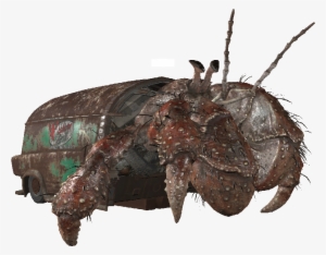 Alpha Hermit Crab - Insect
