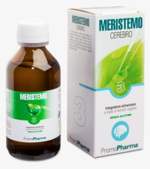 Meristemo 03 Cerebro - Lymph