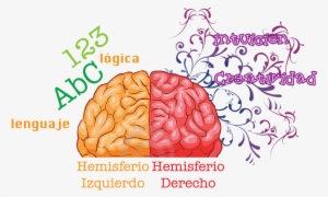 Posicionamiento Web Asturias - Human Brain