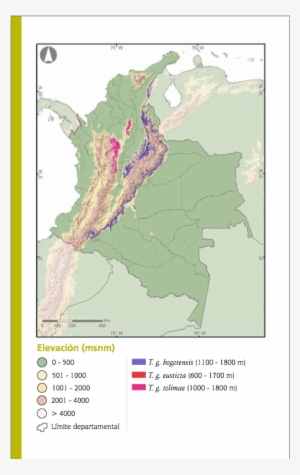 Tangara De Colombia - Mapa De Colombia