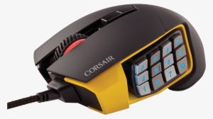 Swords Of Chult Maintenance Stream - Scimitar Corsair