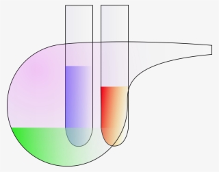 Chemistry Test Tubes Svg Clip Arts 600 X 472 Px