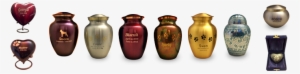 All Paws Would Be Honored To Help You In Your Search - Vase