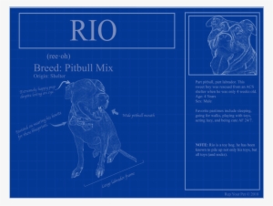 Personalized Blueprints Of Your Pet - Montature Occhiali Da Vista Uomo