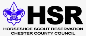 47 Am 246105 Hsrflag3 2/10/2013 - Sfr Short Sales & Foreclosure Resource