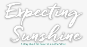 Expecting Sunshine Memoir Book Alexis Marie Chute - Expecting Sunshine