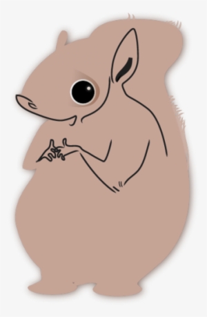 A Squirrel - Cartoon