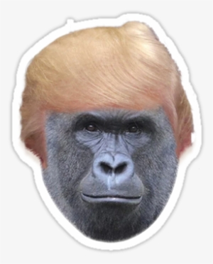 Harambe Trump - Unwelcomegreetings Harambe The Gorilla Mask By Rapmasks