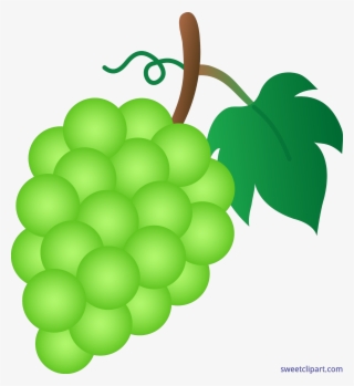 Grapes Clipart Green Grape - Green Grapes Clipart